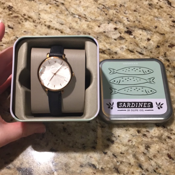 watchbandit microbrands